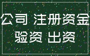 公司 注册资金_验资 出资